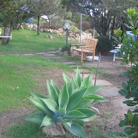 Grazioso Appartamento In Casa Con Giardino La Maddalena  Exterior photo