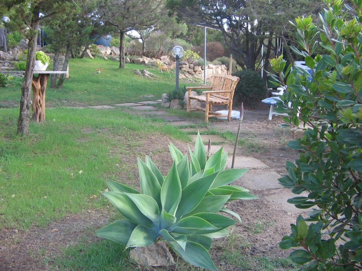 Grazioso Appartamento In Casa Con Giardino La Maddalena  Exterior photo