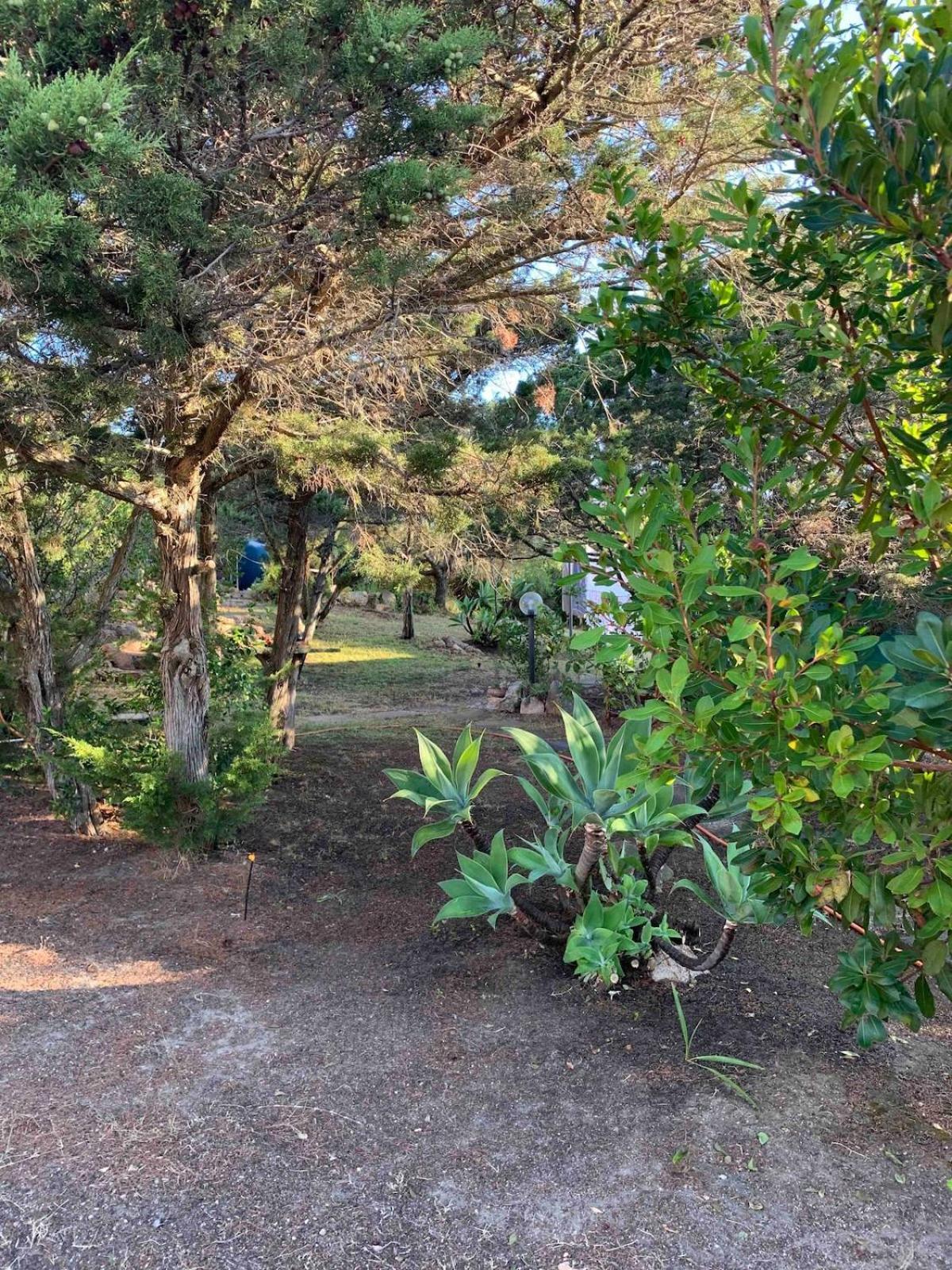 Grazioso Appartamento In Casa Con Giardino La Maddalena  Exterior photo